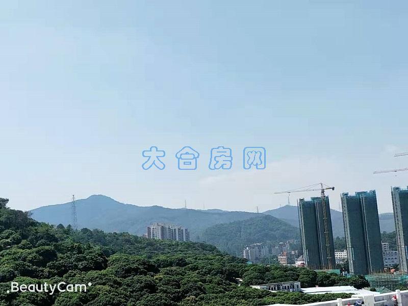 微信图片_20191020150221.jpg