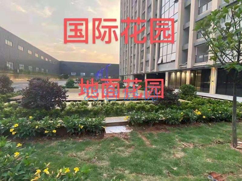 微信图片_20210603172649.jpg